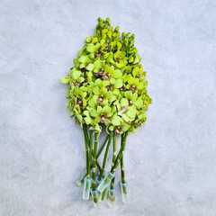 Green Stems