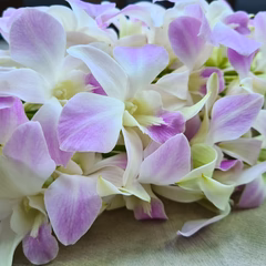 Pink Blush Stems - Image 2