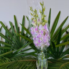 Pink Blush Stems - Image 3
