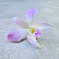 Pink Blush Stems - Image 4
