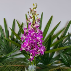 Pink Splash Stems - Image 3