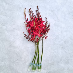 New Azimah Stems